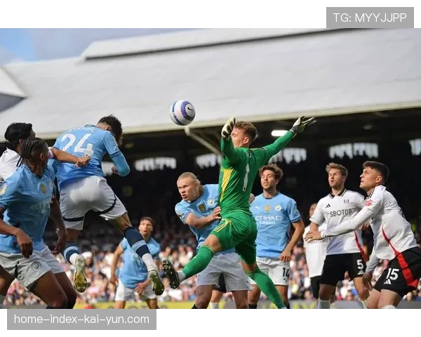 富勒姆引进鲍伯获评B- 挪威边锋需时间适应英超节奏